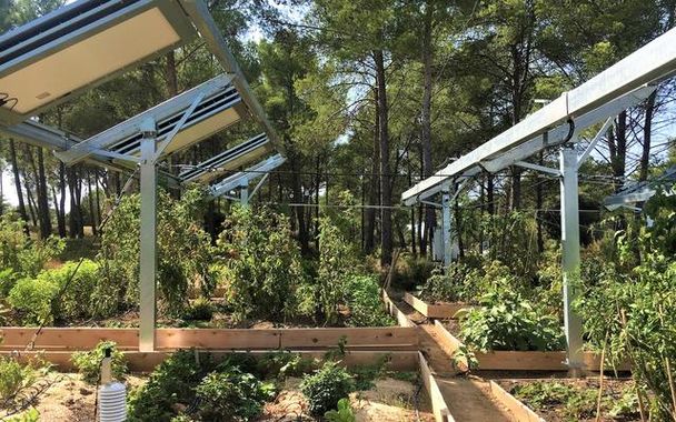 Changement climatique : des ombrières intelligentes pour protéger les cultures 2