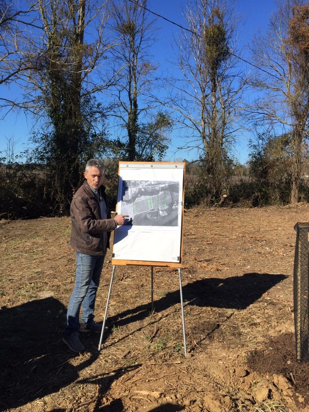 agroforesterie-vigne-var
