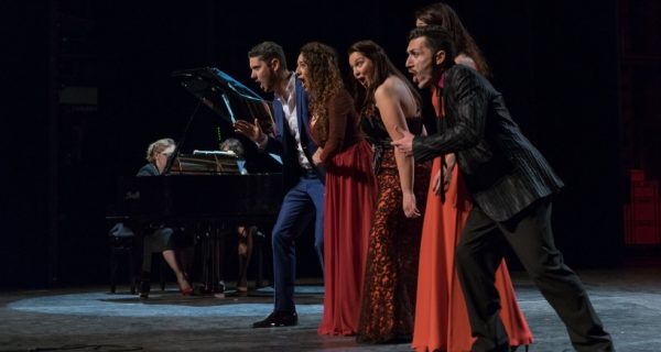 concert-calms-artiste-benevole