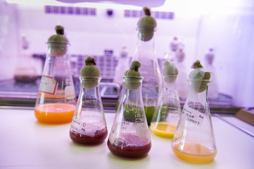 Le CEA de Cadarache planche sur les énergies d’aujourd’hui et de demain 2