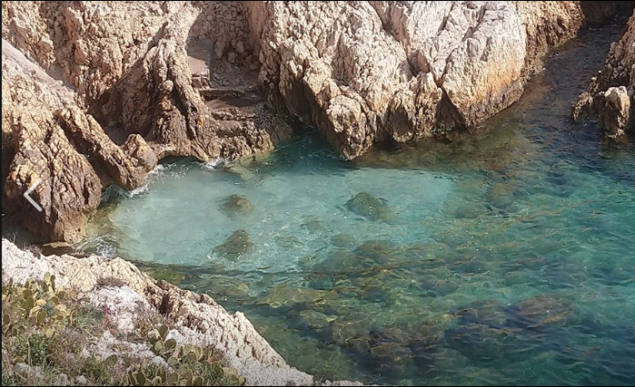 calanque-frioul-marseille