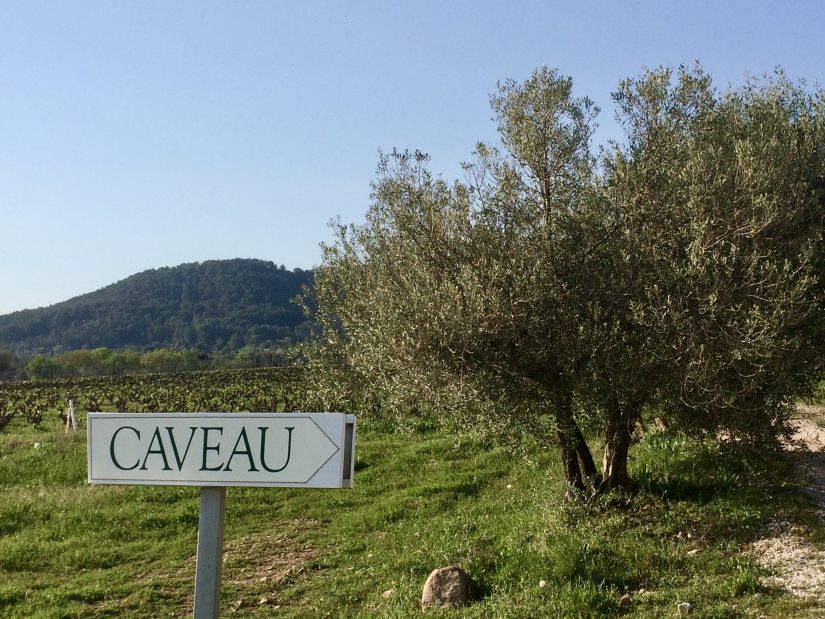 La solidarité vigneronne s’organise