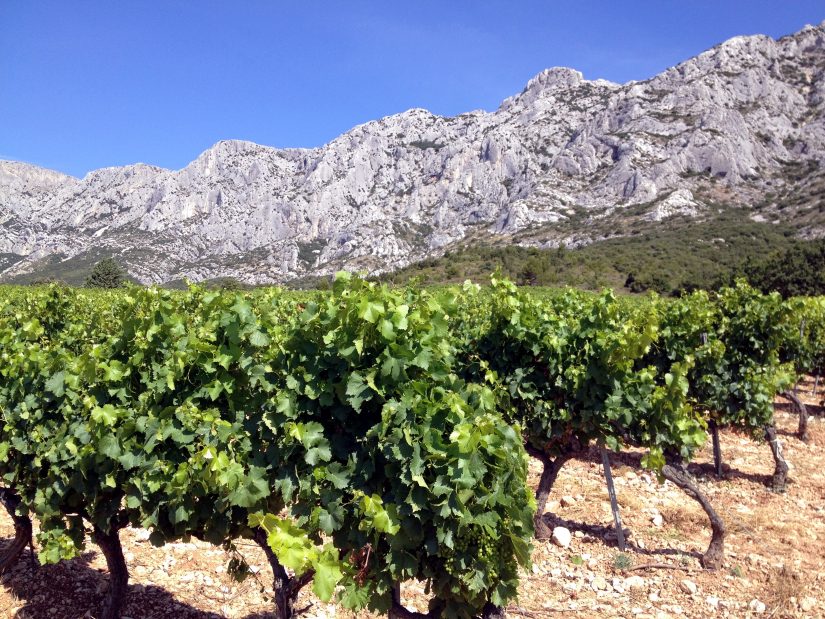 Les vignerons font de la résistance