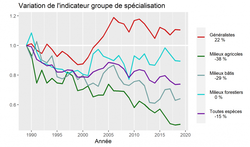 variation-population-oiseau-france