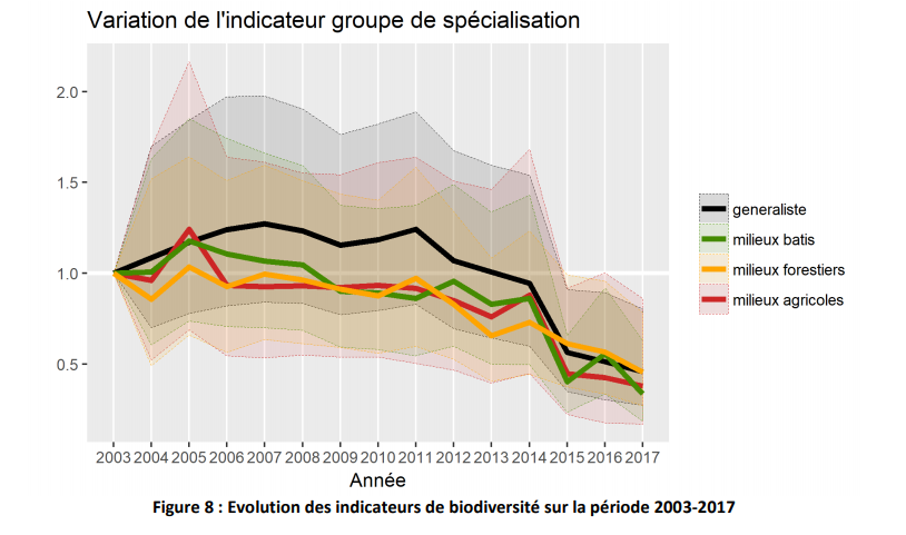 variation-population-oiseau-paca