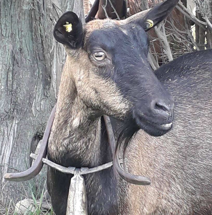 Vous cherchiez la vente directe de producteurs ? Voici nos bons plans 2