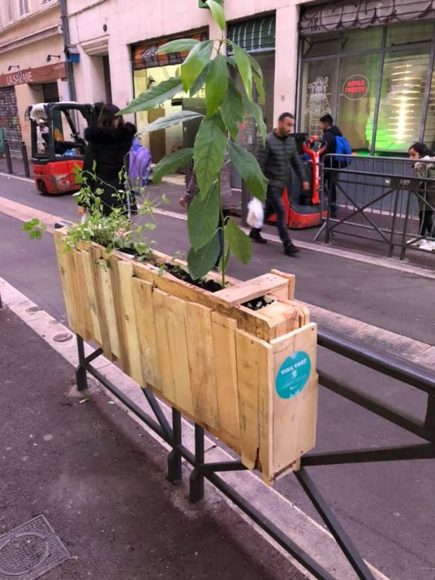 Avec les jardiniers urbains, le bitume se met au vert 9