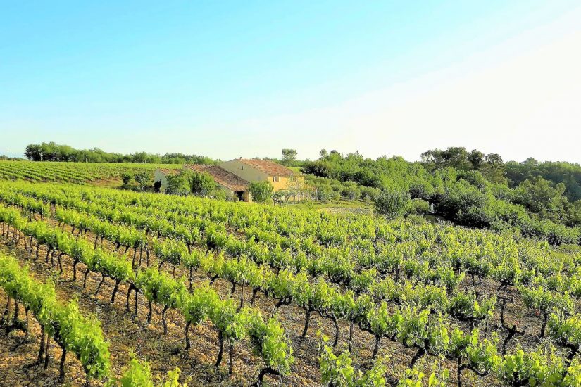 Osons la douceur pour refonder notre société 1