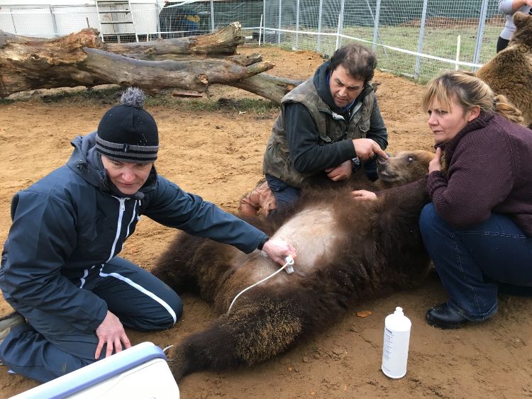 La Tanière, le premier zoo-refuge de France pointe son museau 2
