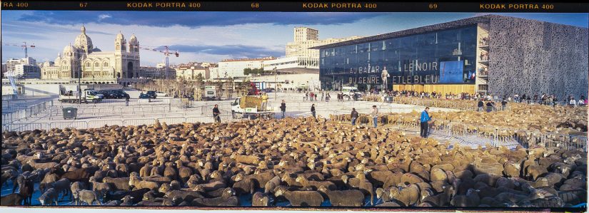 Festivals annulés : Arles prend le taureau par les cornes 6