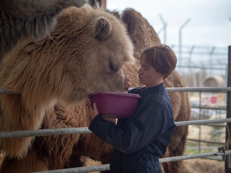 taniere-zoo-refuge-chartre