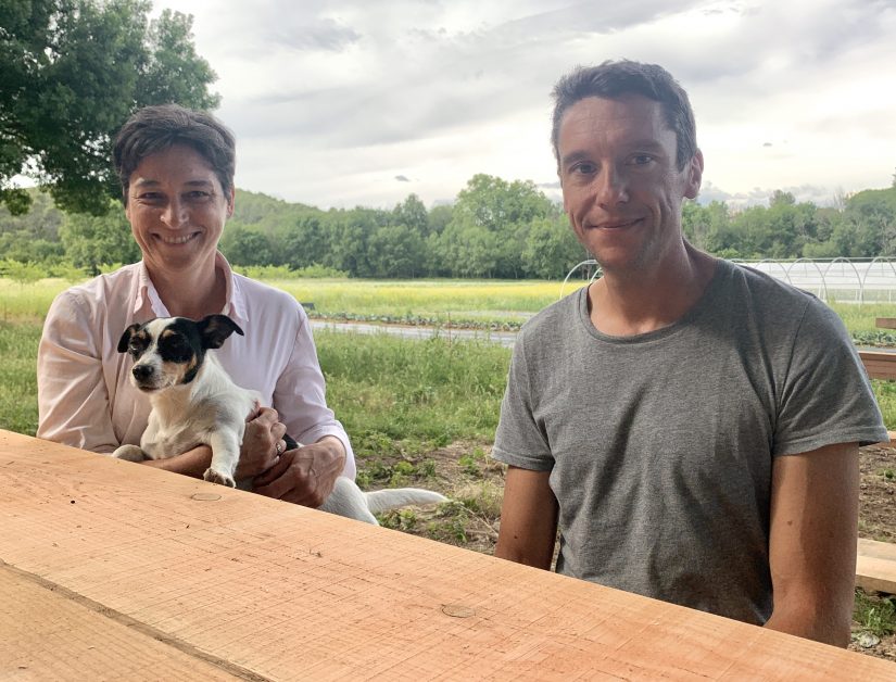 Le potager bio, graine de valeurs dans les entreprises 4