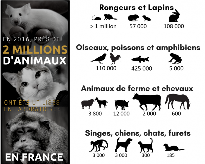 Le premier zoo-refuge de France pointe son museau