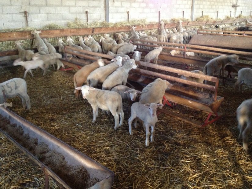 Les métiers de la nature, une carrière assurée pour les jeunes 6