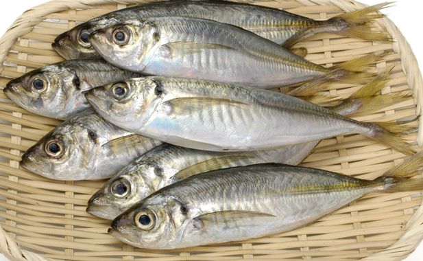 Mange de la seiche, pas du poulpe !