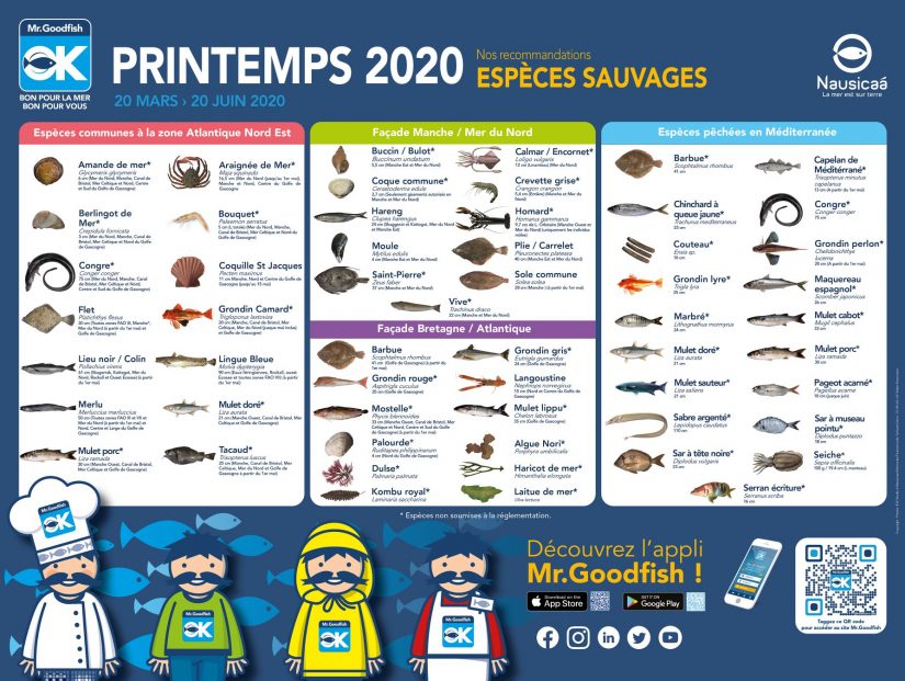 Pour qu’il y ait toujours du poisson demain 1