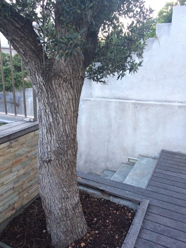 [Série] Biodéchets #3 Fabriquer de la terre avec vos épluchures 8