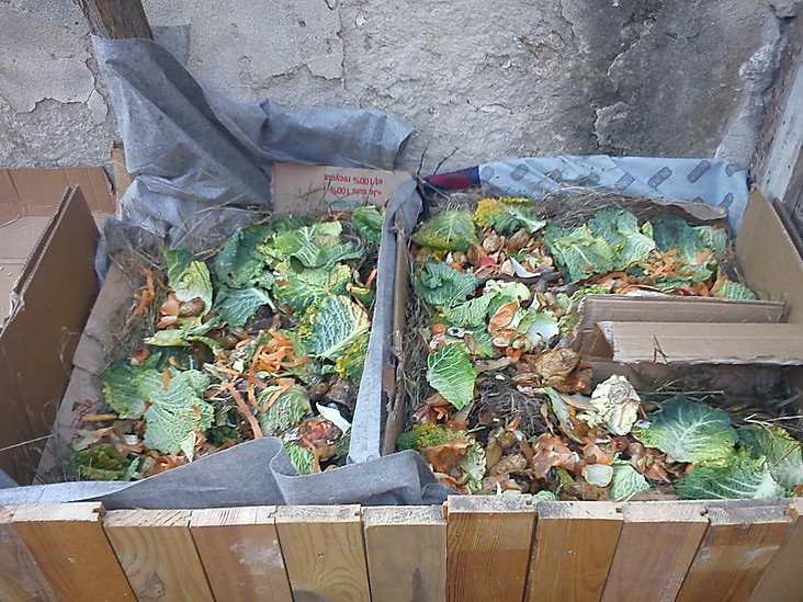 [Série] Biodéchets #3 Fabriquer de la terre avec vos épluchures