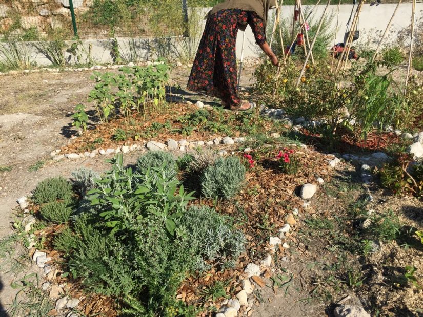 jardin-partage-jougarelle-marseille