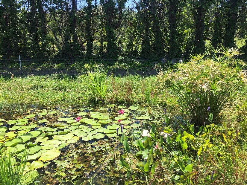Frédéric Denel, le start-upeur devenu paysculteur ! 3