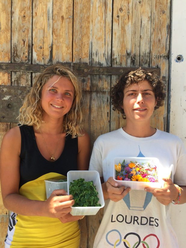 Les fleurs sauvages de Bigoud’ 3