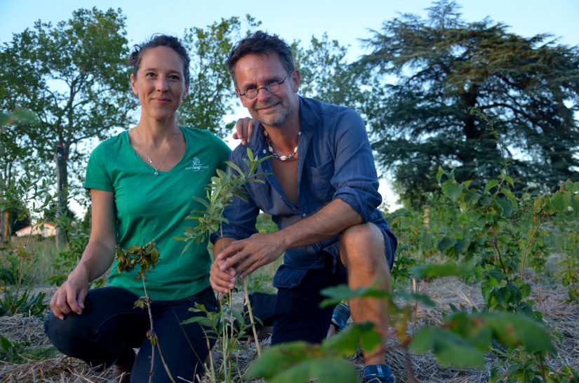 MiniBigForest fait revenir la forêt en ville 1