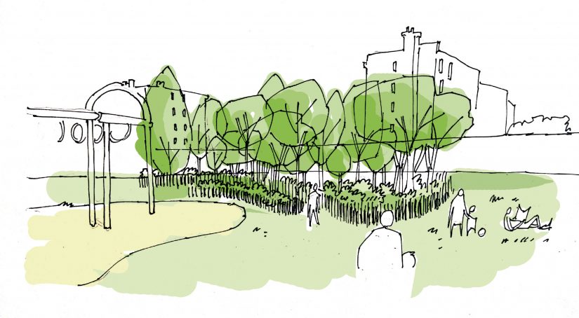 MiniBigForest fait revenir la forêt en ville 5