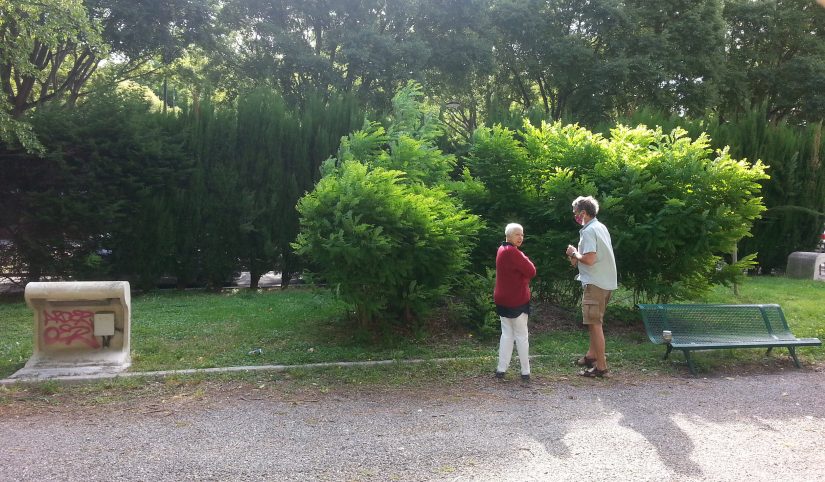 [Série] Biodéchets #3 Fabriquer de la terre avec vos épluchures 10