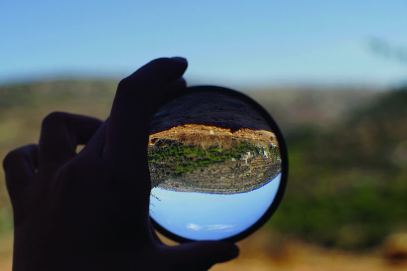 Seul festival maintenu dans le sud, le FID se lance en édition limitée 3