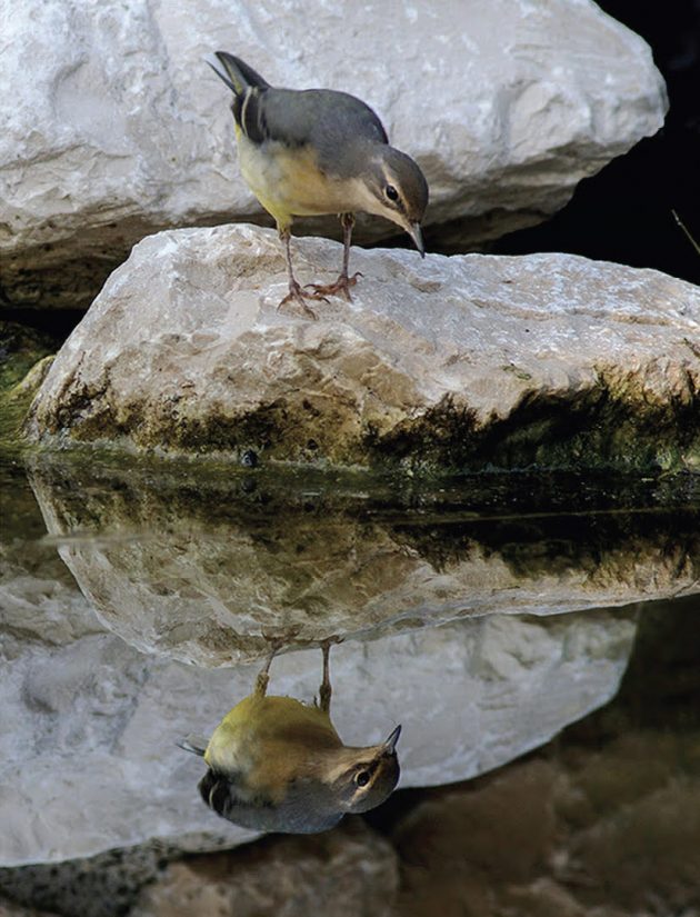 Si discret, si précieux, l'écomusée de la Crau 3