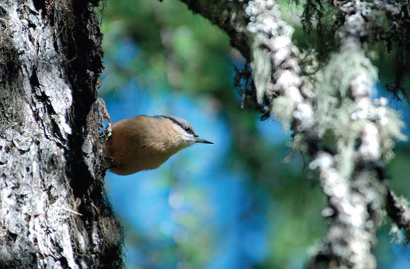Si discret, si précieux, l'écomusée de la Crau 5