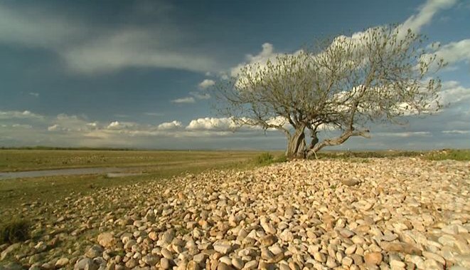 Si discret, si précieux, l'écomusée de la Crau 6