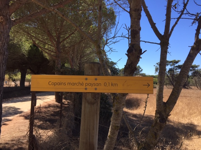 À Porquerolles, l’insertion par l’arboriculture fait ses preuves
