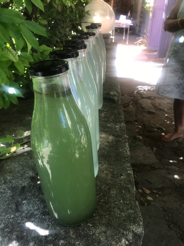 Roseline Giorgis, cultivatrice de rose 3