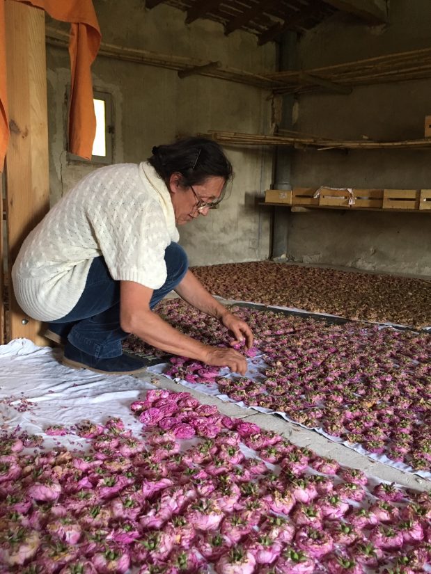 Roseline Giorgis, cultivatrice de rose