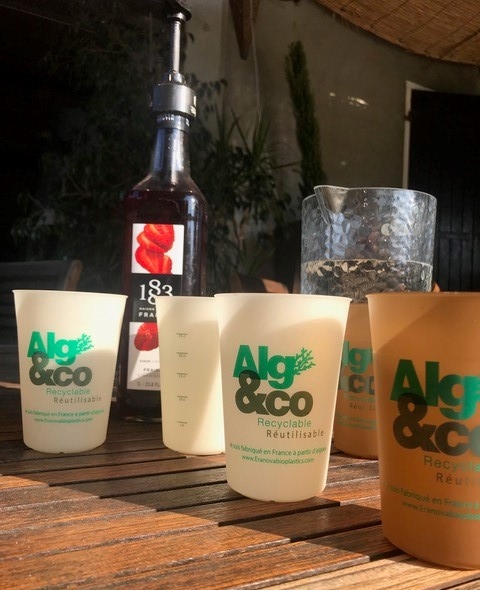 plastique-algue-etang-berre-eranova