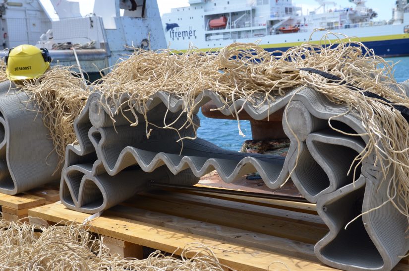 Les récifs artificiels protègent-ils la biodiversité ? 1