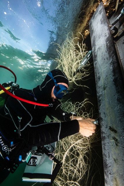 Les récifs artificiels protègent-ils la biodiversité ? 2