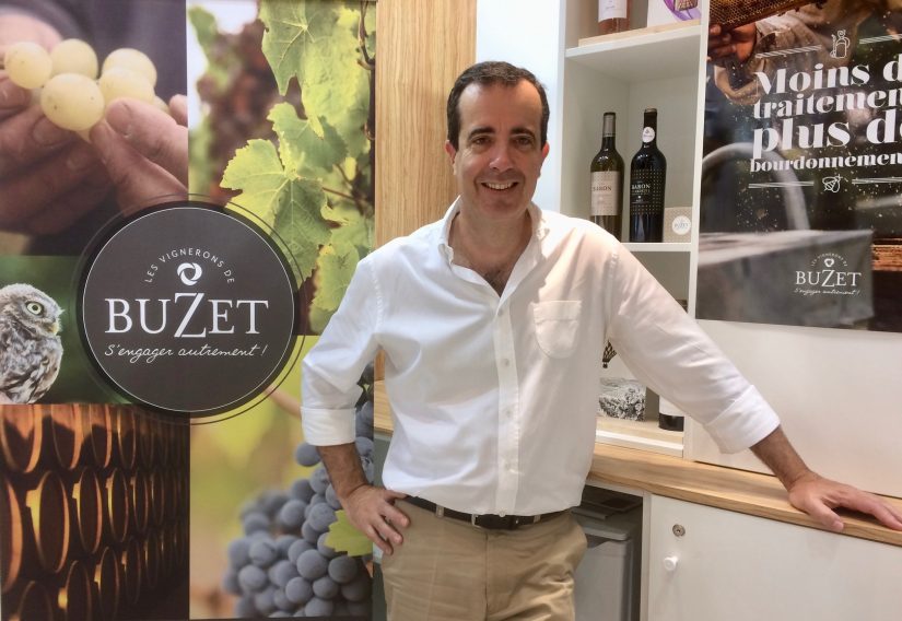 Vins de Buzet : le Développement Durable à 360° 1