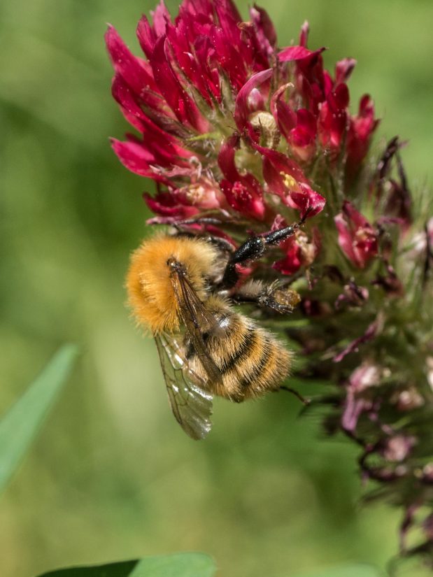 Grainette, la startup qui pousse comme une fleur 3