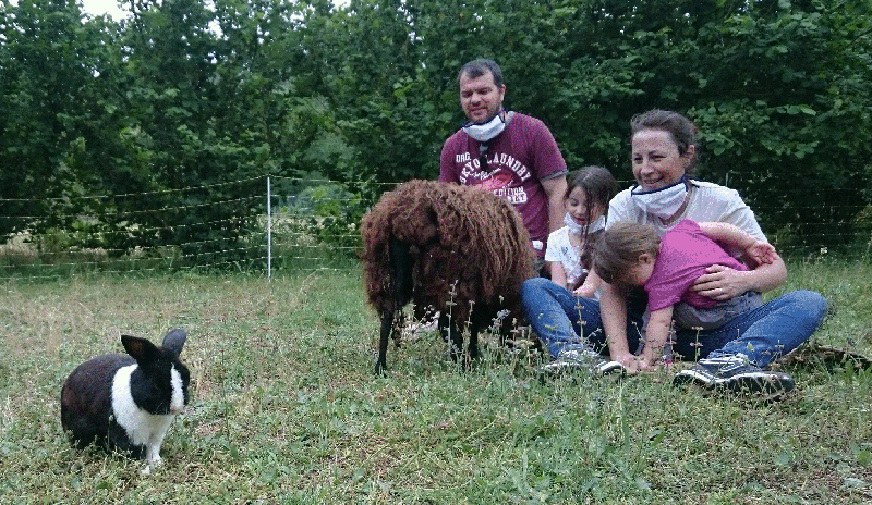 Quand les animaux soignent 2