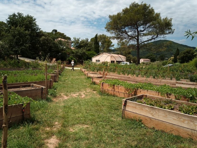 Soleil du Sud, l’entreprise qui nourrit ses salariés pour de bon 1