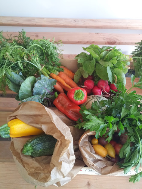 Soleil du Sud, l’entreprise qui nourrit ses salariés pour de bon 5