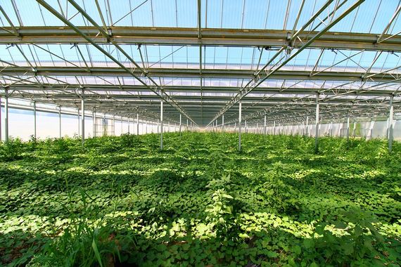 Mais pourquoi Bercy s’en prend au solaire ? 2