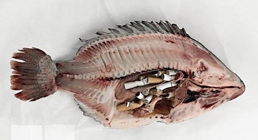 RecyClop poisson mégots