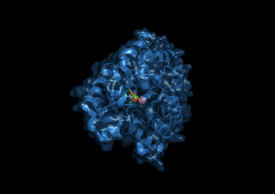 Les enzymes, nouvelle arme contre les bactéries et les toxines chimiques 2