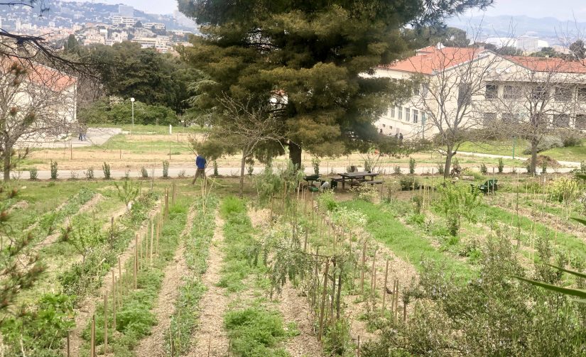 Jardin Marseilleveyre 