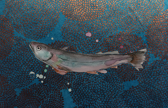 Et si le Golfe du Lion protégeait son merlu comme la mer Adriatique ? 1