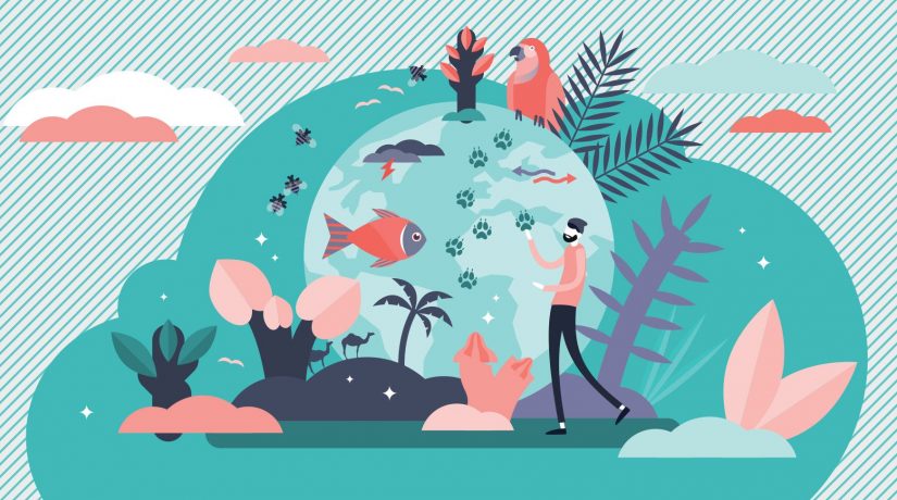 Hack4nature creuse les méninges (et les données) pour aider la biodiversité 2