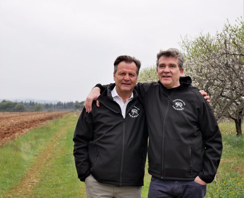 L'amande de Provence à la relance 3